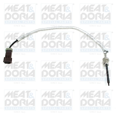 Sensor, exhaust gas temperature